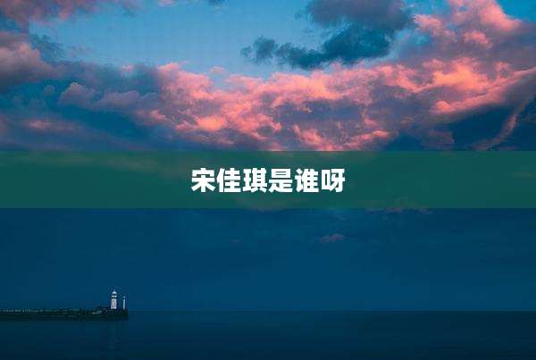 宋佳琪是谁呀
