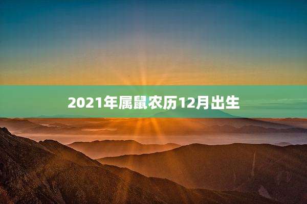 2021年属鼠农历12月出生