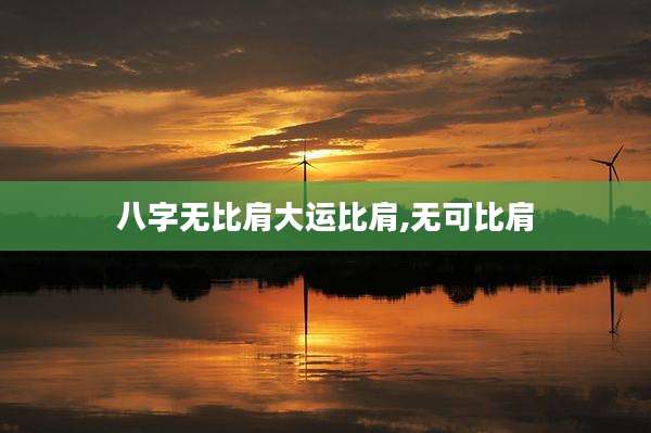 八字无比肩大运比肩,无可比肩