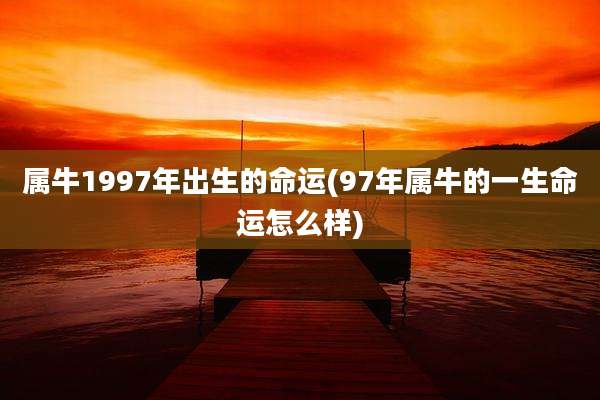 属牛1997年出生的命运(97年属牛的一生命运怎么样)