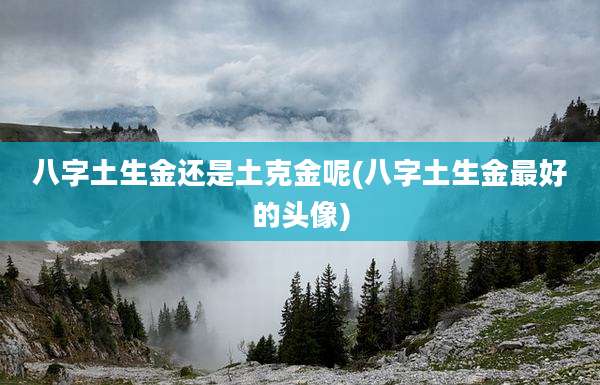 八字土生金还是土克金呢(八字土生金最好的头像)