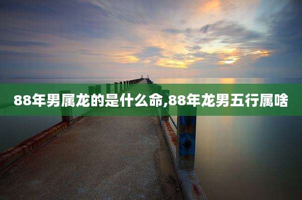 88年男属龙的是什么命,88年龙男五行属啥