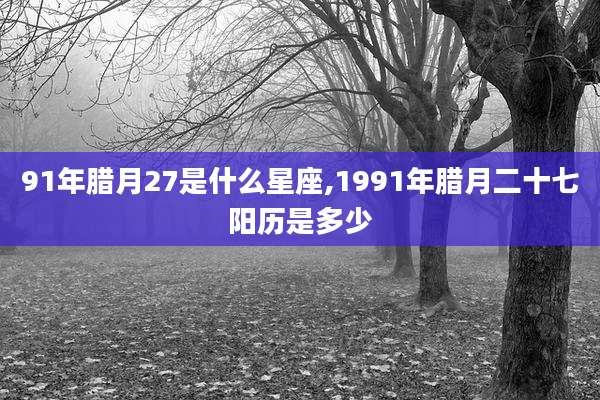 91年腊月27是什么星座,1991年腊月二十七阳历是多少
