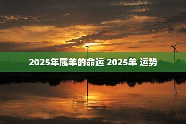 2025年属羊的命运 2025羊 运势