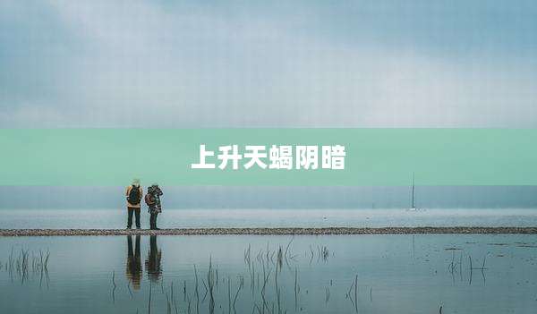 上升天蝎阴暗