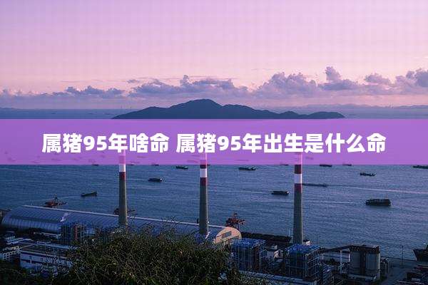 属猪95年啥命 属猪95年出生是什么命