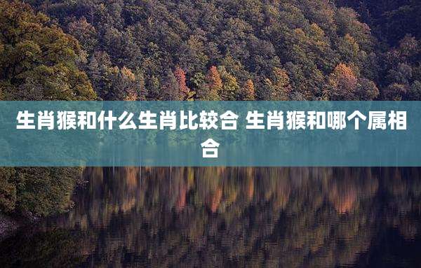 生肖猴和什么生肖比较合 生肖猴和哪个属相合