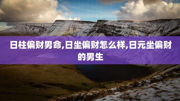 日柱偏财男命,日坐偏财怎么样,日元坐偏财的男生