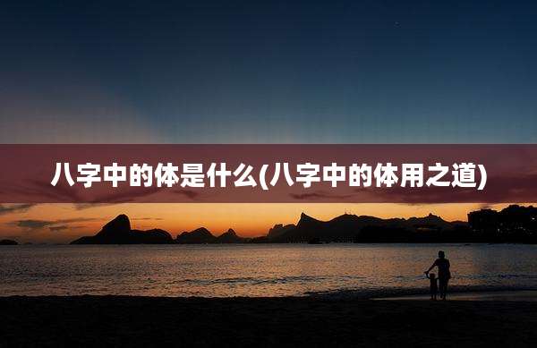八字中的体是什么(八字中的体用之道)