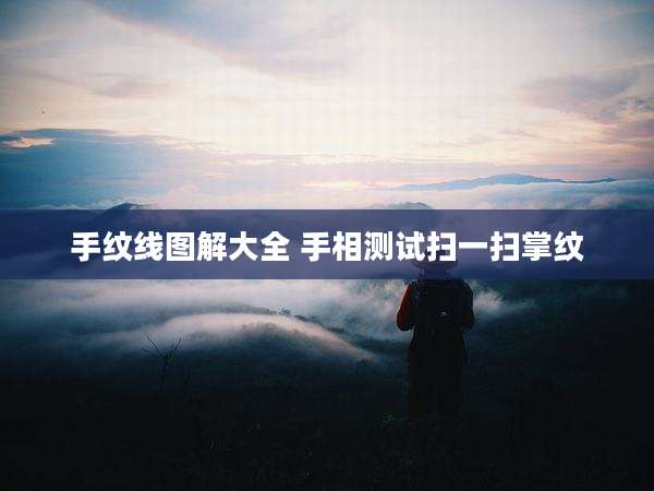 手纹线图解大全 手相测试扫一扫掌纹