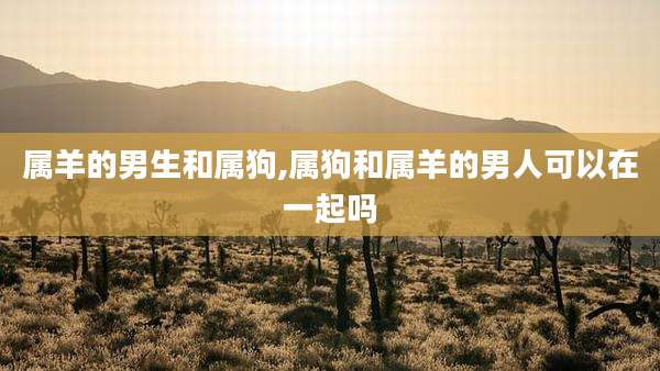 属羊的男生和属狗,属狗和属羊的男人可以在一起吗