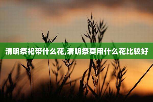 清明祭祀带什么花,清明祭奠用什么花比较好