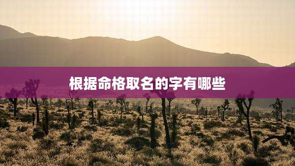 根据命格取名的字有哪些