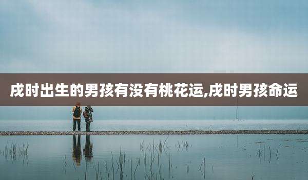 戌时出生的男孩有没有桃花运,戌时男孩命运