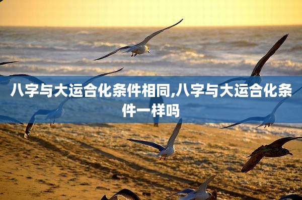 八字与大运合化条件相同,八字与大运合化条件一样吗