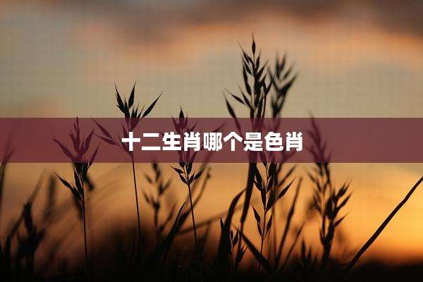十二生肖哪个是色肖
