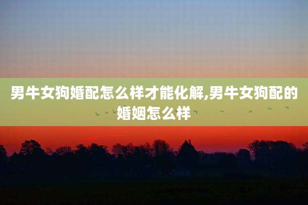男牛女狗婚配怎么样才能化解,男牛女狗配的婚姻怎么样