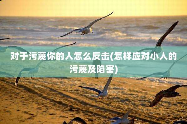 对于污蔑你的人怎么反击(怎样应对小人的污蔑及陷害)