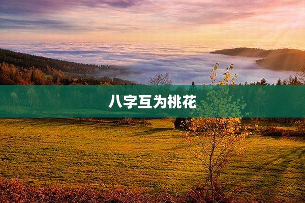 八字互为桃花