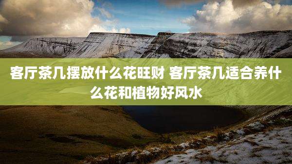 客厅茶几摆放什么花旺财 客厅茶几适合养什么花和植物好风水