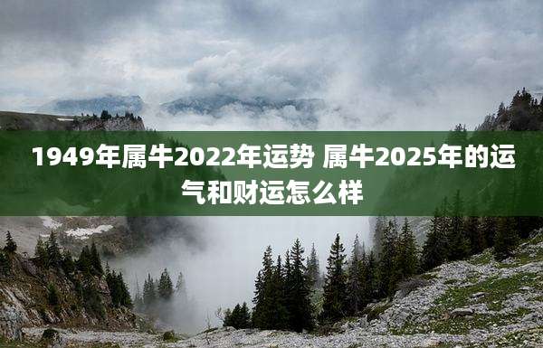 1949年属牛2022年运势 属牛2025年的运气和财运怎么样