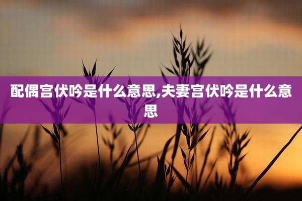 配偶宫伏吟是什么意思,夫妻宫伏吟是什么意思