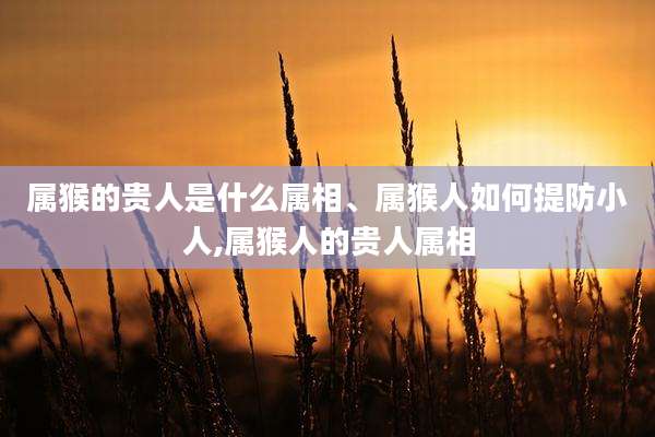 属猴的贵人是什么属相、属猴人如何提防小人,属猴人的贵人属相