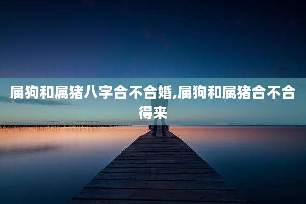 属狗和属猪八字合不合婚,属狗和属猪合不合得来
