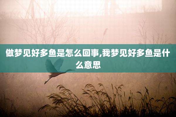 做梦见好多鱼是怎么回事,我梦见好多鱼是什么意思