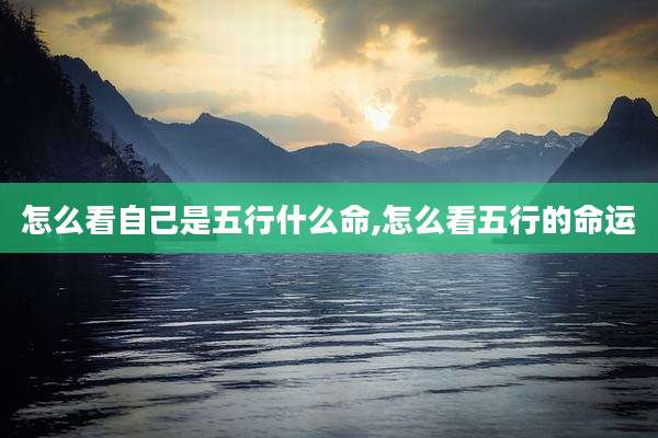 怎么看自己是五行什么命,怎么看五行的命运