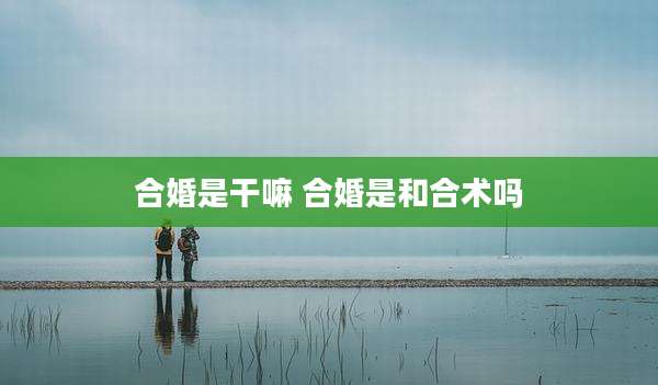 合婚是干嘛 合婚是和合术吗