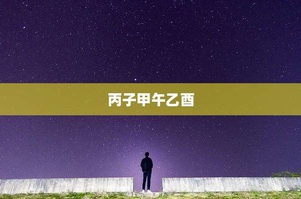 丙子甲午乙酉