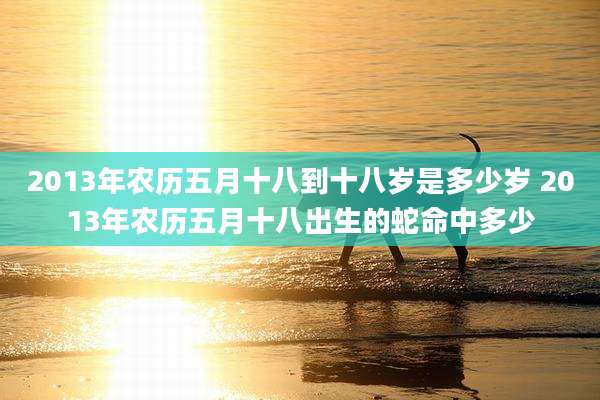 2013年农历五月十八到十八岁是多少岁 2013年农历五月十八出生的蛇命中多少