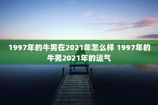 1997年的牛男在2021年怎么样 1997年的牛男2021年的运气