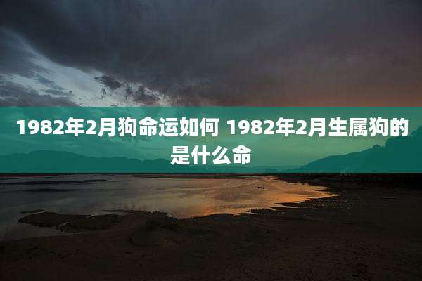 1982年2月狗命运如何 1982年2月生属狗的是什么命