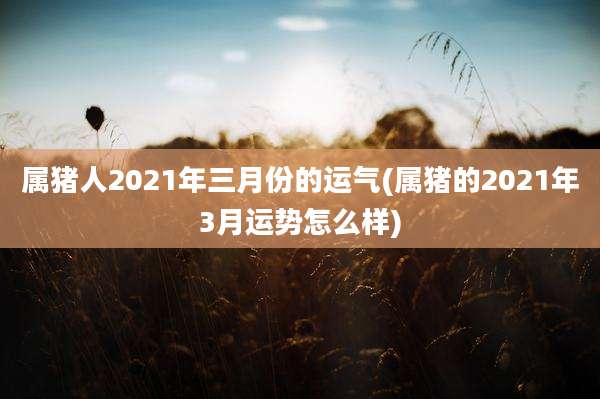 属猪人2021年三月份的运气(属猪的2021年3月运势怎么样)