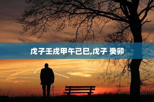 戊子壬戌甲午己巳,戊子 癸卯