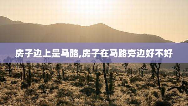 房子边上是马路,房子在马路旁边好不好