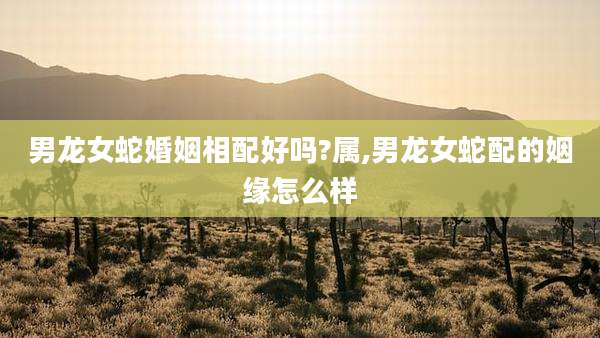 男龙女蛇婚姻相配好吗?属,男龙女蛇配的姻缘怎么样
