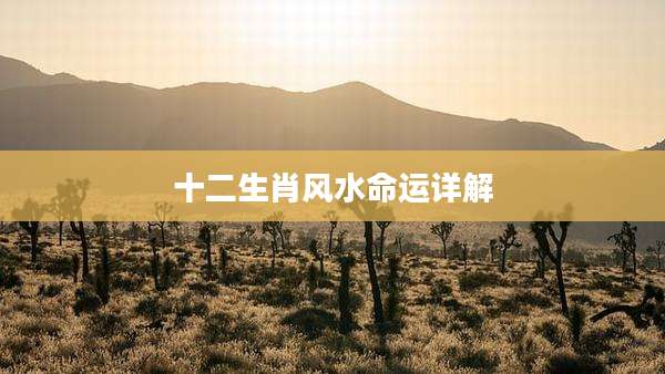 十二生肖风水命运详解