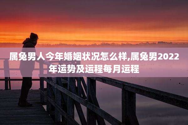 属兔男人今年婚姻状况怎么样,属兔男2022年运势及运程每月运程