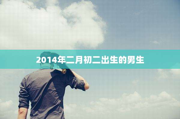 2014年二月初二出生的男生