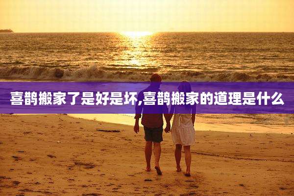 喜鹊搬家了是好是坏,喜鹊搬家的道理是什么