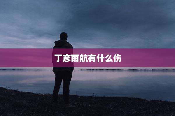 丁彦雨航有什么伤