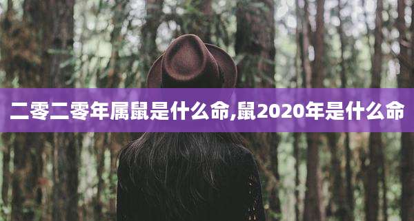 二零二零年属鼠是什么命,鼠2020年是什么命