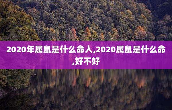 2020年属鼠是什么命人,2020属鼠是什么命,好不好