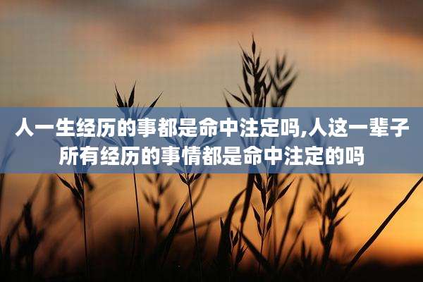 人一生经历的事都是命中注定吗,人这一辈子所有经历的事情都是命中注定的吗