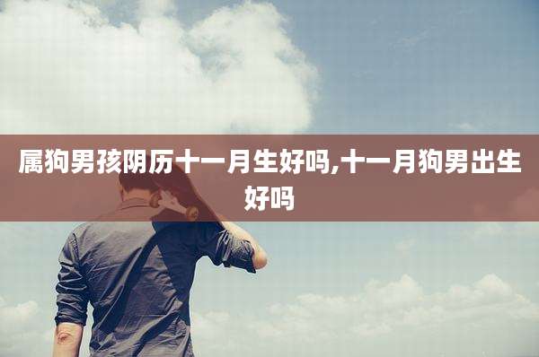 属狗男孩阴历十一月生好吗,十一月狗男出生好吗