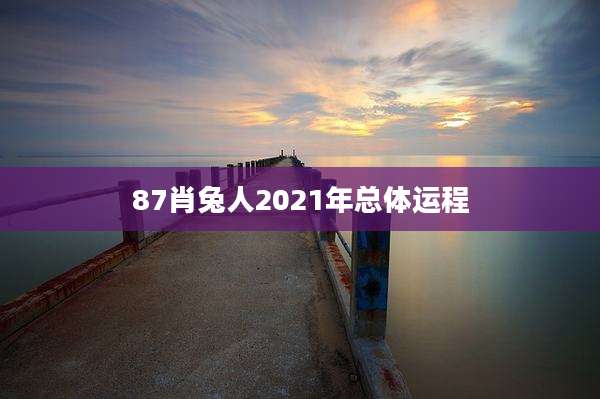 87肖兔人2021年总体运程
