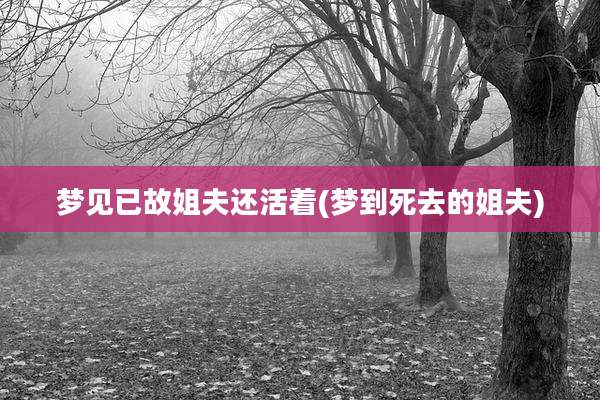 梦见已故姐夫还活着(梦到死去的姐夫)